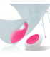 Rob Intense — télécommande sans fil pantie rose