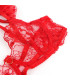 Ensemble dentelle rouge Subblime | Folies Secrètes