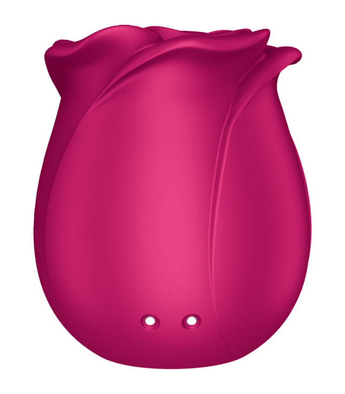 Satisfyer Pro 2 Classic Blossom | Folies Secrètes