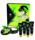 Shunga Secret Geisha thé vert bio | Coffret