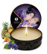 Shunga Secret Geisha fruits exotiques | Coffret