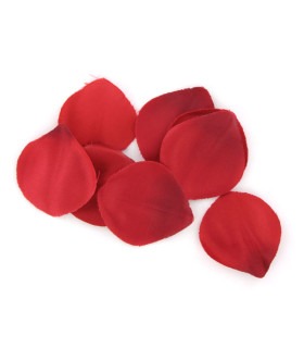 Extase Sensual — Coffre tentation rouge