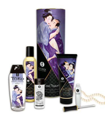 Shunga Kit Plaisirs charnels — contenu du coffret