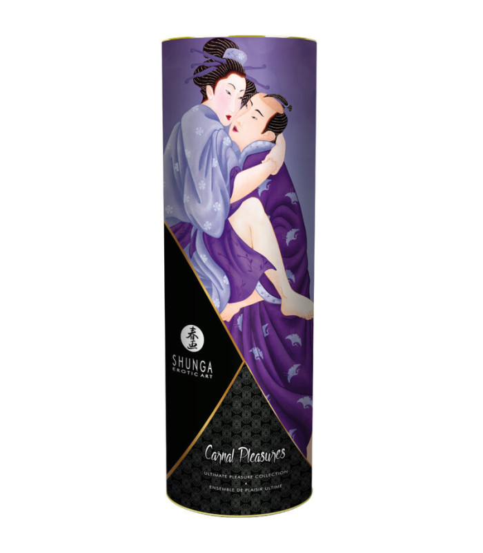 Shunga Kit Plaisirs charnels — tube Carnal Pleasures