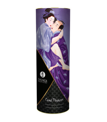 Shunga Kit Plaisirs charnels — tube Carnal Pleasures